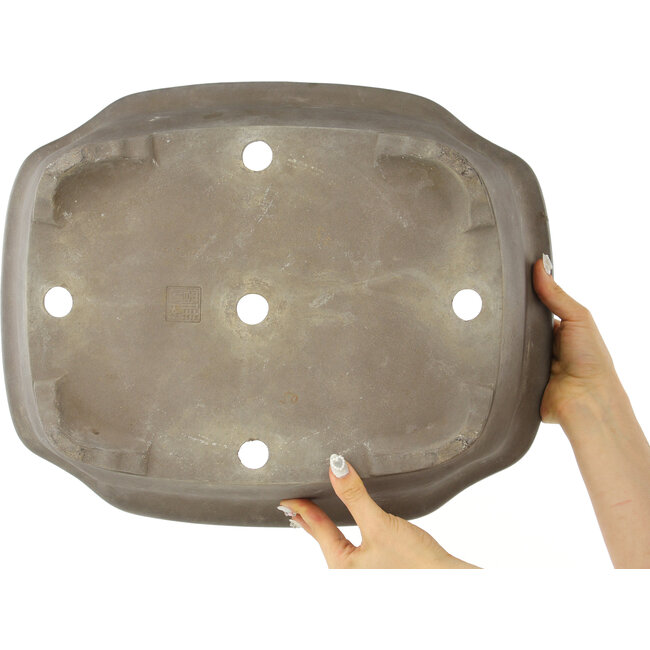 Pot à bonsaï non émaillé Mokko de Keizan - 453 x 365 x 140 mm