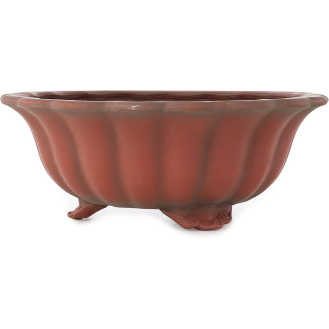 Vaso bonsai Lotus non smaltato di Bigei - 250 x 250 x 98 mm