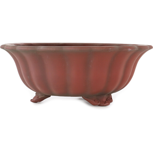 Pot à bonsaï Lotus non émaillé de Bigei - 250 x 250 x 98 mm