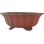 Pot à bonsaï Lotus non émaillé de Bigei - 250 x 250 x 98 mm