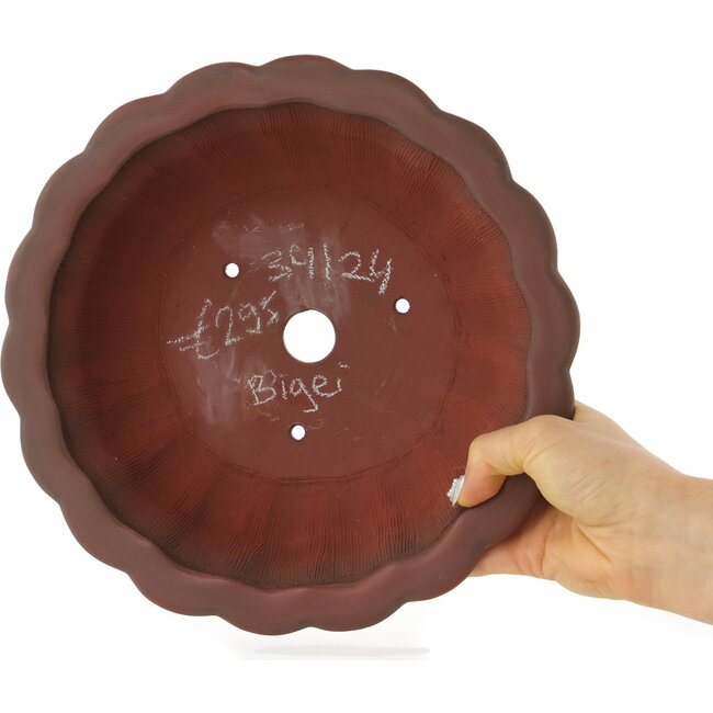 Maceta para bonsái sin esmaltar con forma de loto de Bigei - 250 x 250 x 98 mm