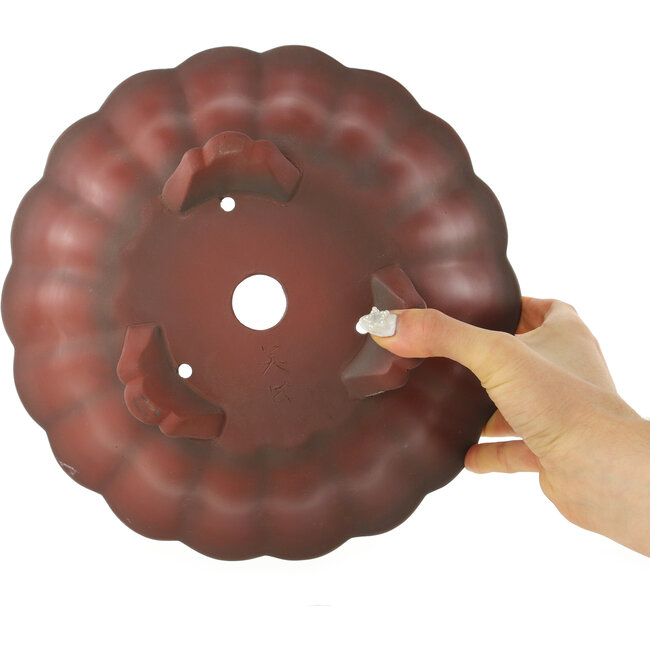 Vaso bonsai Lotus non smaltato di Bigei - 250 x 250 x 98 mm