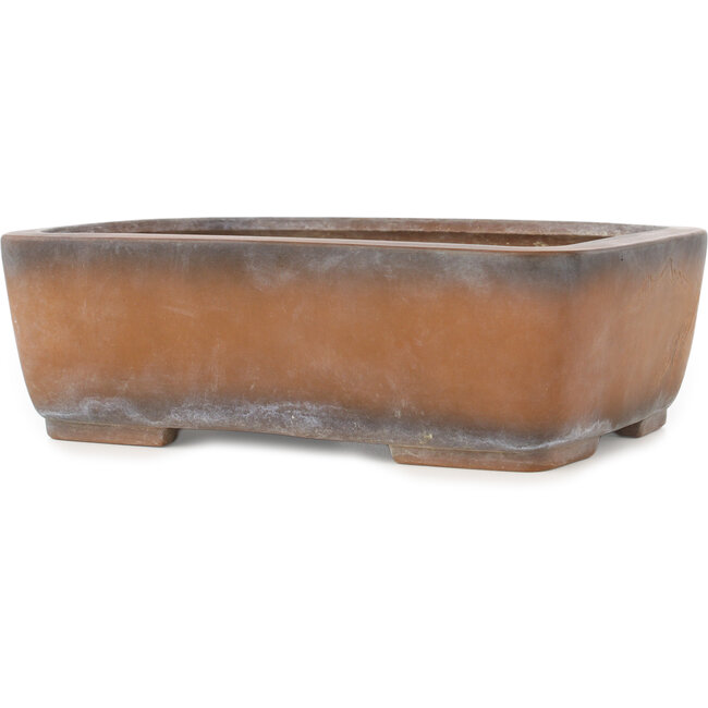 Vaso bonsai rettangolare non smaltato di Bigei - 245 x 185 x 80 mm