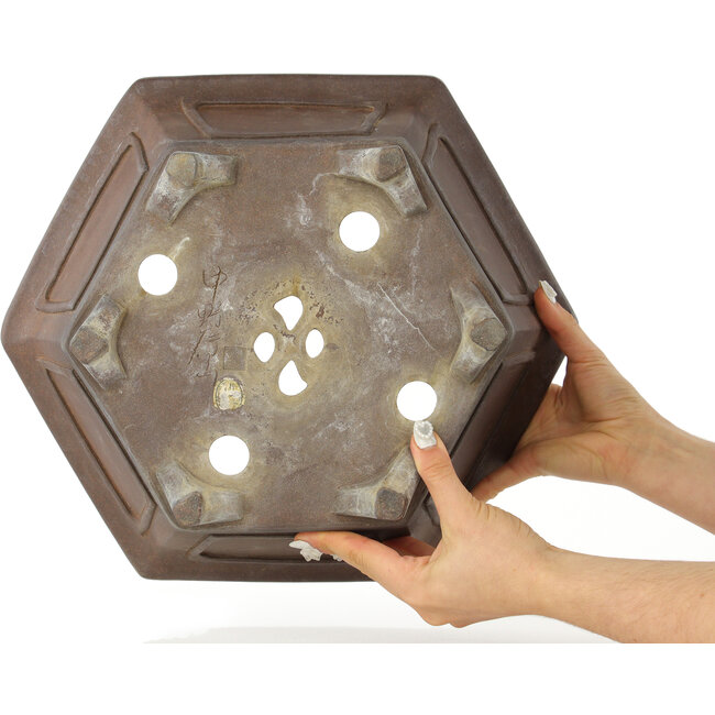 Maceta hexagonal sin esmaltar para bonsái de Gyouzan - 377 x 377 x 152 mm