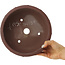 Pot à bonsaï rond non émaillé - 235 x 235 x 83 mm