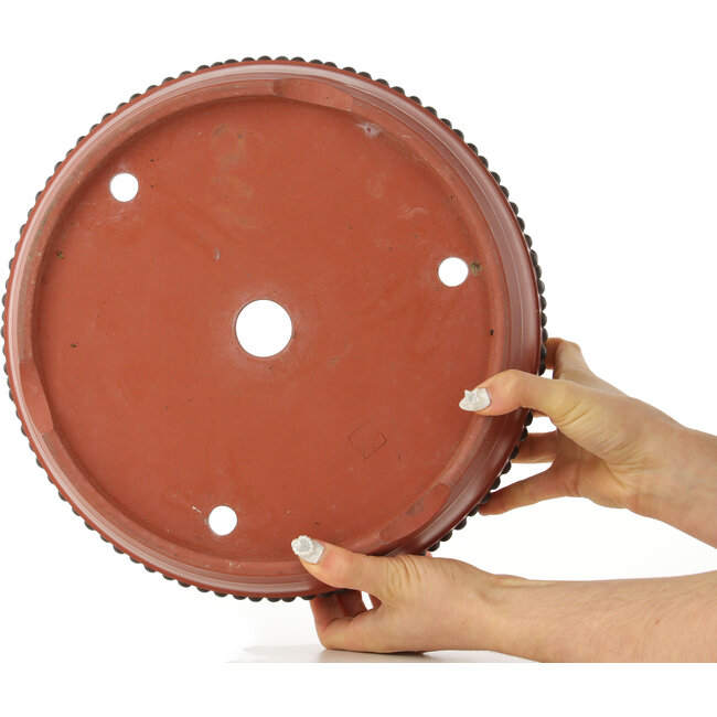 Maceta para bonsái redonda sin esmaltar - 310 x 310 x 98 mm