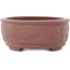 Pot à bonsaï ovale non émaillé - 140 x 108 x 45 mm