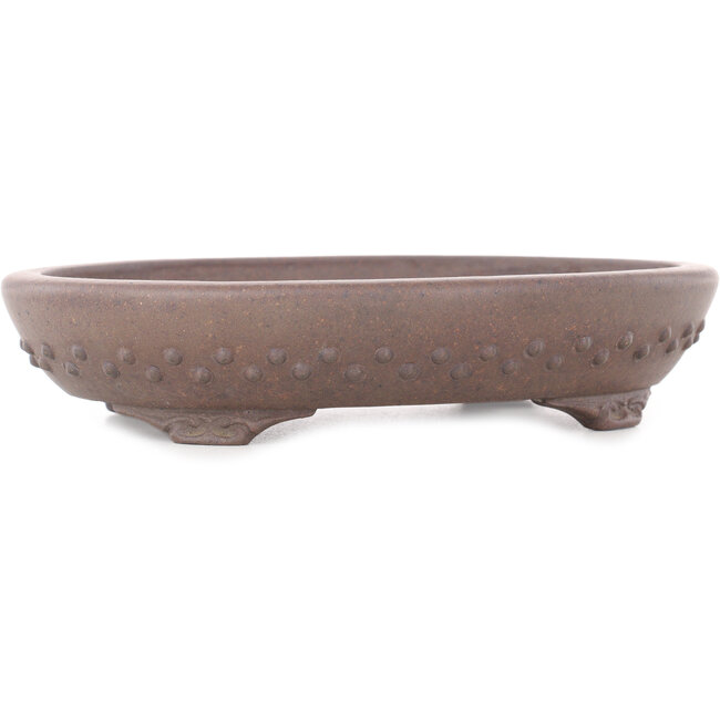 Maceta para bonsái ovalada sin esmaltar - 178 x 135 x 37 mm