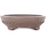 Pot à bonsaï ovale non émaillé - 178 x 135 x 37 mm