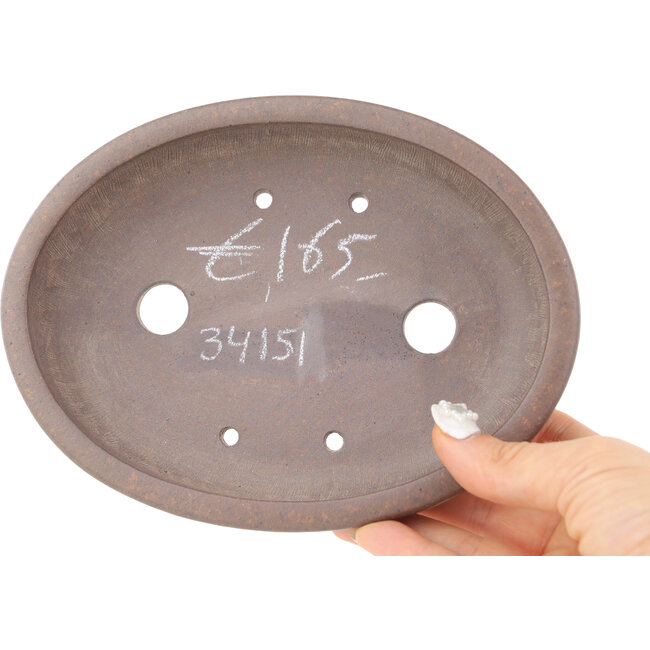 Maceta para bonsái ovalada sin esmaltar - 178 x 135 x 37 mm