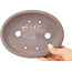 Pot à bonsaï ovale non émaillé - 178 x 135 x 37 mm