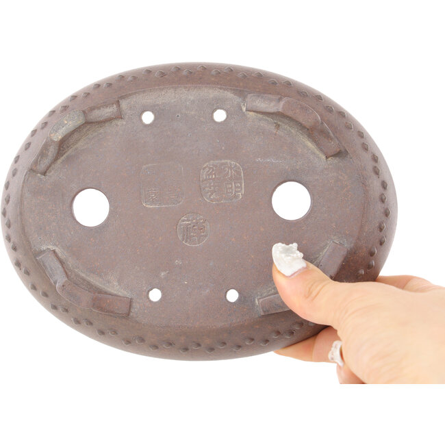 Maceta para bonsái ovalada sin esmaltar - 178 x 135 x 37 mm