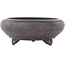 Pot à bonsaï rond non émaillé de Bigei - 123 x 123 x 50 mm