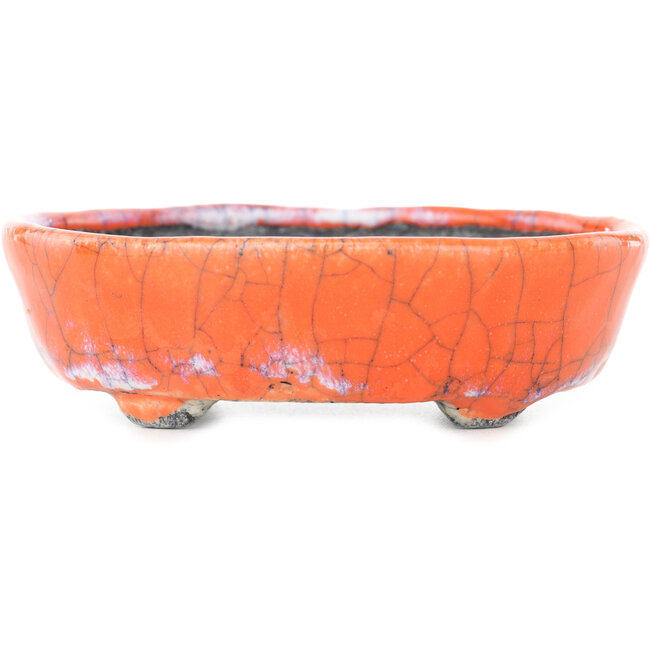 Maceta para bonsái ovalada craquelada en color naranja y blanco de Bunzan - 110 x 92 x 34 mm