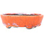 Maceta para bonsái ovalada craquelada en color naranja y blanco de Bunzan - 110 x 92 x 34 mm