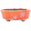 Maceta para bonsái ovalada craquelada en color naranja y blanco de Bunzan - 110 x 92 x 34 mm