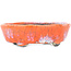 Maceta para bonsái ovalada craquelada en color naranja y blanco de Bunzan - 110 x 92 x 34 mm