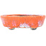 Maceta para bonsái ovalada craquelada en color naranja y blanco de Bunzan - 110 x 92 x 34 mm