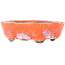 Maceta para bonsái ovalada craquelada en color naranja y blanco de Bunzan - 110 x 92 x 34 mm