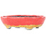 Ovaler rot-orangefarbener Craquelé-Bonsai-Topf von Bunzan - 153 x 125 x 40 mm