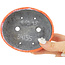 Maceta para bonsái ovalada craquelada en color naranja y blanco de Bunzan - 110 x 92 x 34 mm