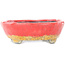 Ovaler rot-orangefarbener Craquelé-Bonsai-Topf von Bunzan - 153 x 125 x 40 mm