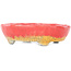Ovaler rot-orangefarbener Craquelé-Bonsai-Topf von Bunzan - 153 x 125 x 40 mm