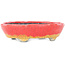 Ovaler rot-orangefarbener Craquelé-Bonsai-Topf von Bunzan - 153 x 125 x 40 mm