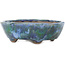 Pot à bonsaï ovale vert et bleu de Bunzan - 123 x 103 x 38 mm