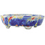 Vaso bonsai ovale blu multicolore di Bunzan - 140 x 120 x 40 mm