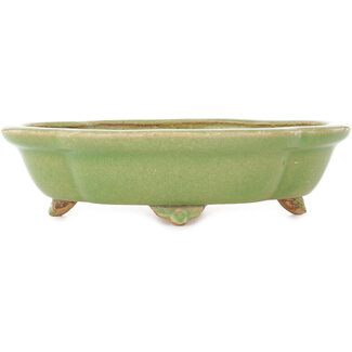  Hattori Tomoyuki Pot à bonsaï craquelé vert mokko 262 mm par Hattori, Tokoname, Japon