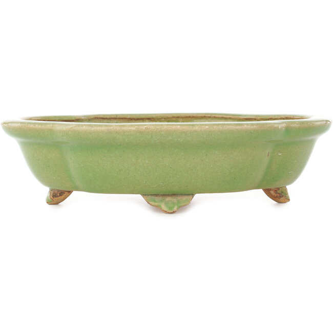 Mokko green craquelé bonsai pot by Hattori - 262 x 190 x 70 mm