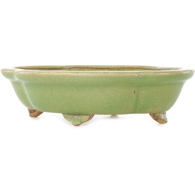 Pot à bonsaï craquelé vert Mokko par Hattori - 262 x 190 x 70 mm