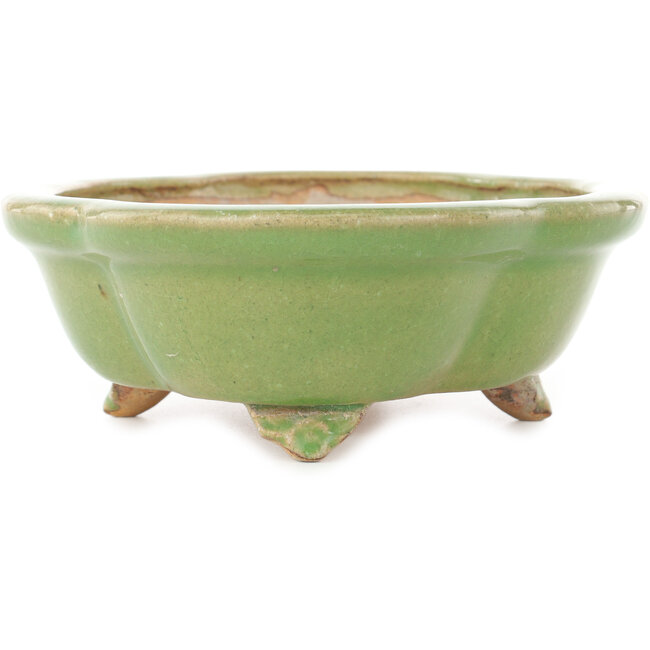 Pot à bonsaï craquelé vert Mokko par Hattori - 262 x 190 x 70 mm