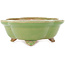 Mokko green craquelé bonsai pot by Hattori - 262 x 190 x 70 mm