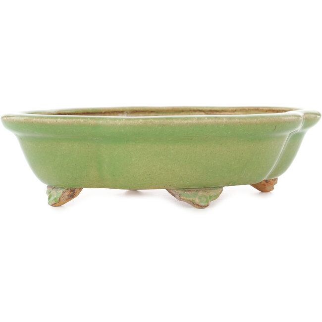 Vaso bonsai Mokko verde craquelé di Hattori - 262 x 190 x 70 mm