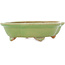 Mokko green craquelé bonsai pot by Hattori - 262 x 190 x 70 mm
