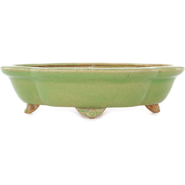 Mokko green craquelé bonsai pot by Hattori - 262 x 190 x 70 mm