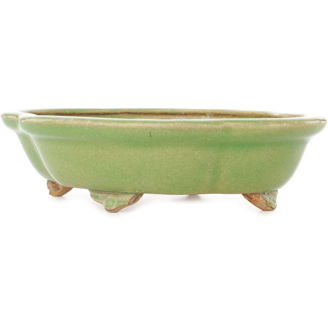 Maceta para bonsái craquelé verde Mokko de Hattori - 262 x 190 x 70 mm