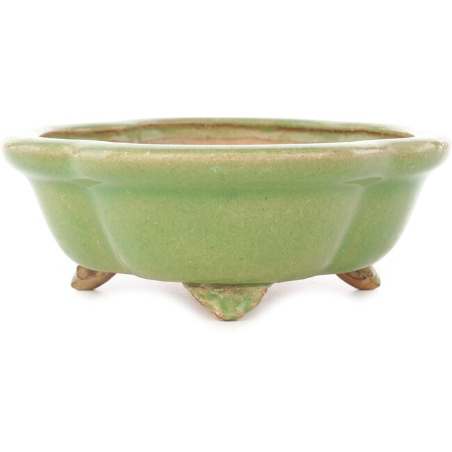 Maceta para bonsái craquelé verde Mokko de Hattori - 262 x 190 x 70 mm