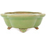Mokko green craquelé bonsai pot by Hattori - 262 x 190 x 70 mm