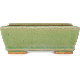  Hattori Tomoyuki 157 mm rectangular green craquelé bonsai pot by Hattori, Tokoname, Japan