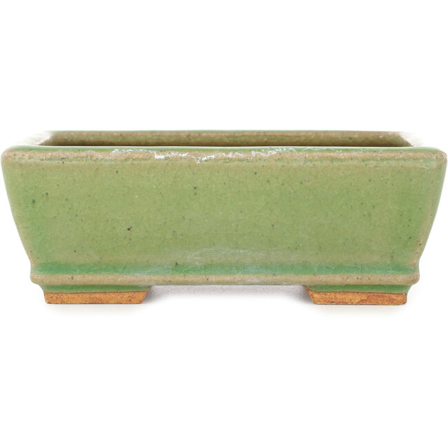 Pot à bonsaï rectangulaire vert craquelé par Hattori - 157 x 113 x 55 mm