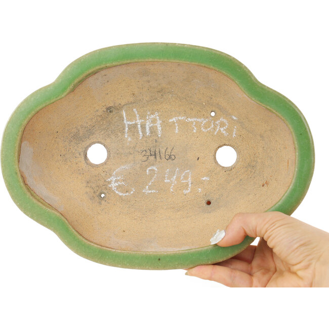 Maceta para bonsái craquelé verde Mokko de Hattori - 262 x 190 x 70 mm