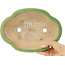 Mokko green craquelé bonsai pot by Hattori - 262 x 190 x 70 mm