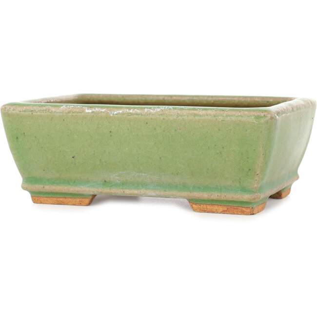 Vaso bonsai rettangolare craquelé verde di Hattori - 157 x 113 x 55 mm