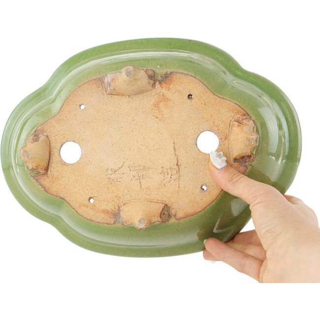 Pot à bonsaï craquelé vert Mokko par Hattori - 262 x 190 x 70 mm