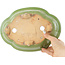 Maceta para bonsái craquelé verde Mokko de Hattori - 262 x 190 x 70 mm