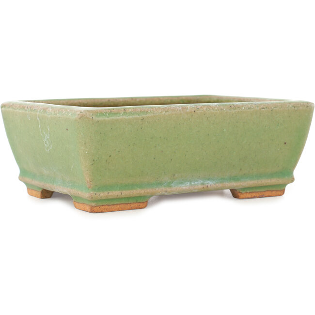 Rechthoekige groene craquelé bonsai pot van Hattori - 157 x 113 x 55 mm