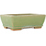 Pot à bonsaï rectangulaire vert craquelé par Hattori - 157 x 113 x 55 mm